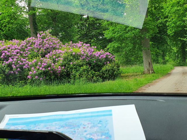 Tina 50 år - Tur til Knuthenborg Safaripark