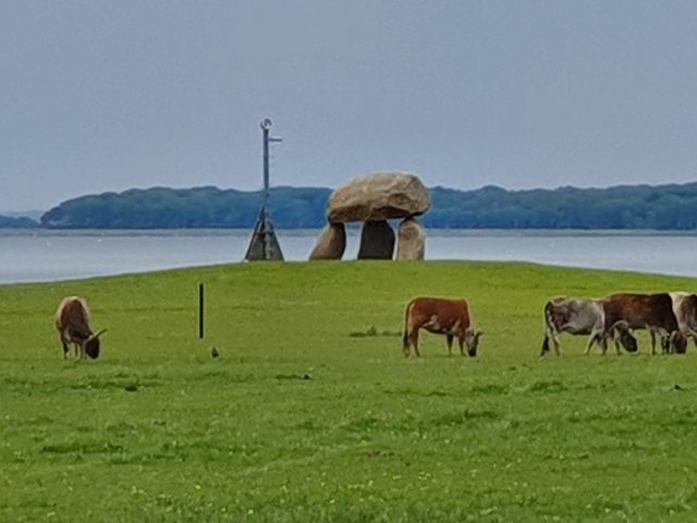 Tina 50 år - Tur til Knuthenborg Safaripark