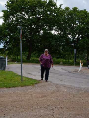 Tina 50 år - Tur til Knuthenborg Safaripark