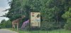 Tina 50 år - Tur til Knuthenborg Safaripark