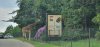 Tina 50 år - Tur til Knuthenborg Safaripark