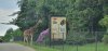 Tina 50 år - Tur til Knuthenborg Safaripark