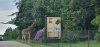 Tina 50 år - Tur til Knuthenborg Safaripark