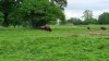 Tina 50 år - Tur til Knuthenborg Safaripark