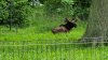 Tina 50 år - Tur til Knuthenborg Safaripark