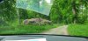 Tina 50 år - Tur til Knuthenborg Safaripark