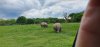 Tina 50 år - Tur til Knuthenborg Safaripark