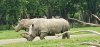 Tina 50 år - Tur til Knuthenborg Safaripark