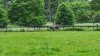 Tina 50 år - Tur til Knuthenborg Safaripark
