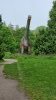 Tina 50 år - Tur til Knuthenborg Safaripark
