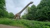 Tina 50 år - Tur til Knuthenborg Safaripark