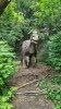 Tina 50 år - Tur til Knuthenborg Safaripark