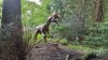 Tina 50 år - Tur til Knuthenborg Safaripark