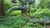 Tina 50 år - Tur til Knuthenborg Safaripark