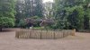 Tina 50 år - Tur til Knuthenborg Safaripark