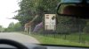 Tina 50 år - Tur til Knuthenborg Safaripark